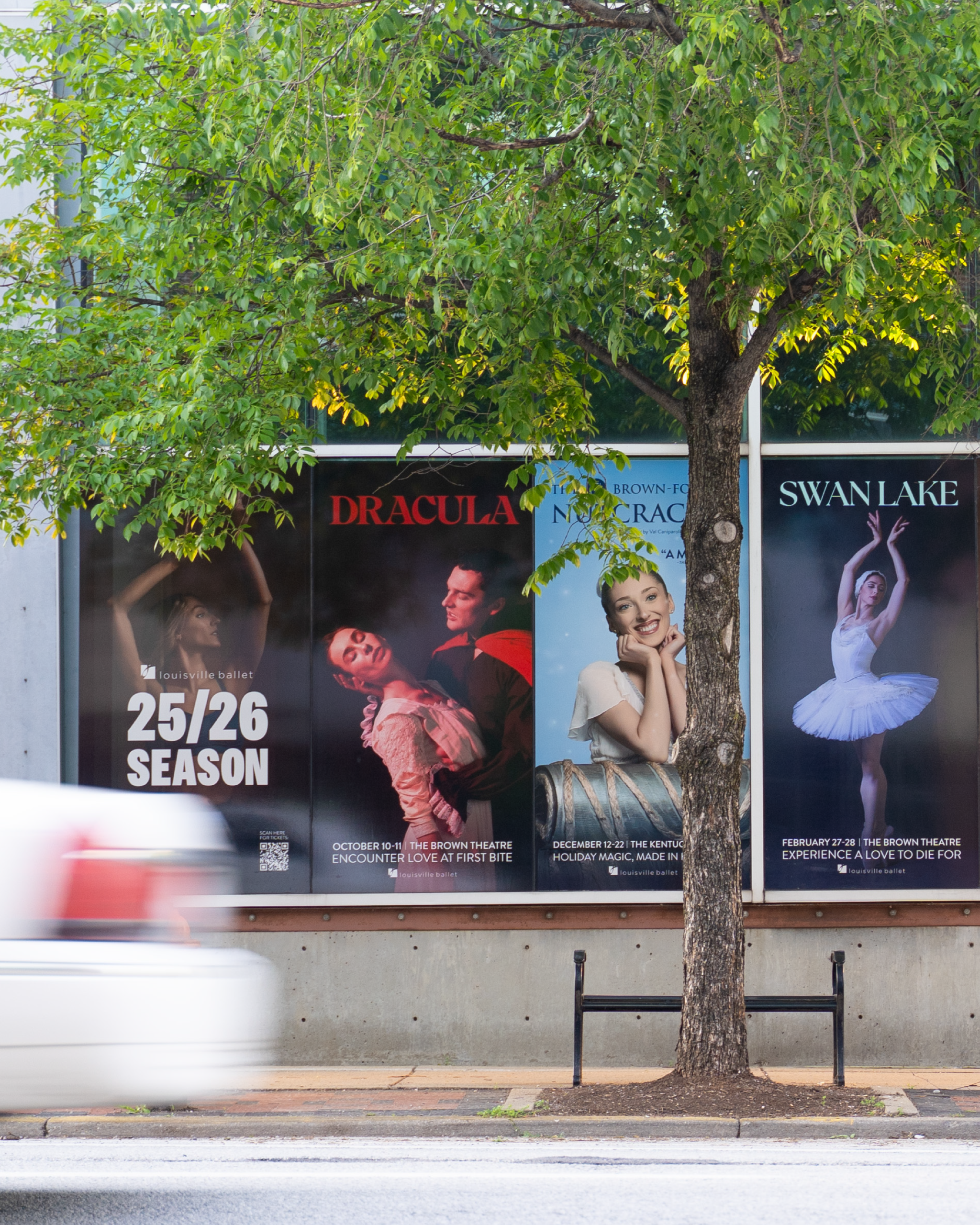 A tree partially blocks posters for ballet performances, including Dracula, Swan Lake, and a 25/26 season announcement, as a white car drives by the sidewalk.